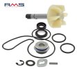 Water pump set RMS 100110410