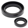 Crankshaft Seal Kit All Balls Racing CS24-2010