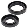 Crankshaft Seal Kit All Balls Racing CS24-2015