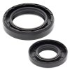 Crankshaft Seal Kit All Balls Racing CS24-2018