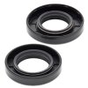 Crankshaft Seal Kit All Balls Racing CS24-2020