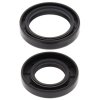 Crankshaft Seal Kit All Balls Racing CS24-2021