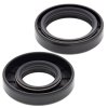 Crankshaft Seal Kit All Balls Racing CS24-2022