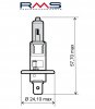 Bulb RMS 246510035 12V 55W, H1 weiß