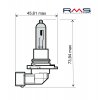 Bulb RMS 246510095 12V 65W, HB3 weiß