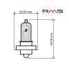 Bulb RMS 246510435 12V 20W, P26S weiß