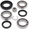 Differential Seal Only Kit All Balls Racing DB25-2079-5