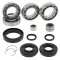 Differential Seal Only Kit All Balls Racing