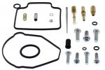 Carburetor Rebuild Kit All Balls Racing CARK26-1573