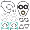 Complete gasket set with oil seal WINDEROSA PWC 611808