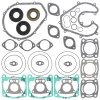 Complete gasket set with oil seal WINDEROSA PWC 611812