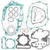 Complete Gasket Kit WINDEROSA CGK 808263