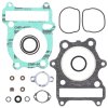 Top End Gasket Kit WINDEROSA TEGS 810570