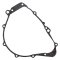 Ignition cover gasket WINDEROSA