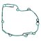 Ignition cover gasket WINDEROSA