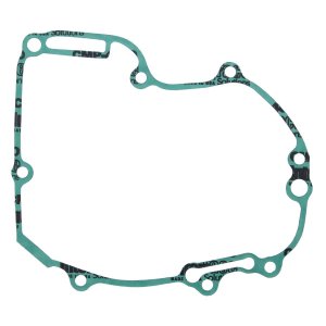 Ignition cover gasket WINDEROSA