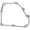 Ignition cover gasket WINDEROSA