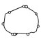 Ignition cover gasket WINDEROSA