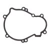 Ignition cover gasket WINDEROSA ICG 816725