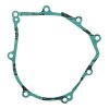 Ignition cover gasket WINDEROSA ICG 816736