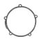 Ignition cover gasket WINDEROSA