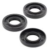 Oil seal set WINDEROSA PWC 622101