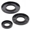 Oil seal set WINDEROSA PWC 622201