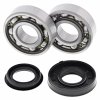 Crankshaft bearing kit All Balls Racing CB24-1094