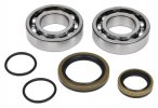 Crankshaft bearing kit All Balls Racing CB24-1128