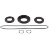 Differential Seal Only Kit All Balls Racing DB25-2106-5