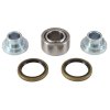 Rear Shock Bearing and Seal Kit All Balls Racing RSB29-5079