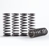 Hi-Temp Clutch Spring Kit HINSON CS264-5-0409 (set of 5)