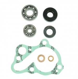 Wasserpumpedichtung Satz ATHENA + bearings