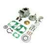 Zylinder Satz ATHENA P400485100077 Big bore d 53mm, 105,46 cc /wutg exgazst valve kit and modular head)