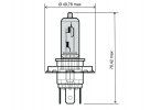 Lamp RMS 246510050 H4 12V 60/55W