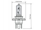 Lamp RMS 246510065 H4 12V 35/35W