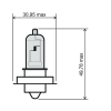 Bulb RMS 246510421 12V 15W, P26S (10pcs) weiß