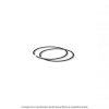 Piston ring kit Evok 100101160 55mm